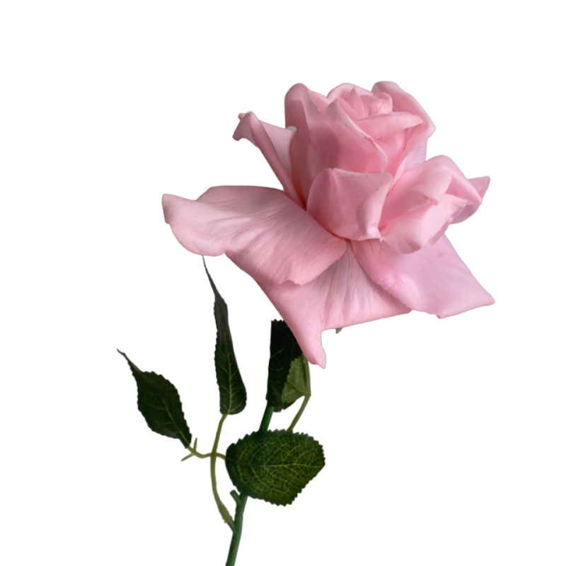 Baby Pink Mia Real Touch Rose Silk Studio