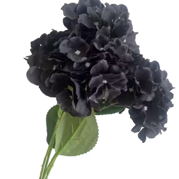 Black Bianca 5-Head Hydrangea Bunch