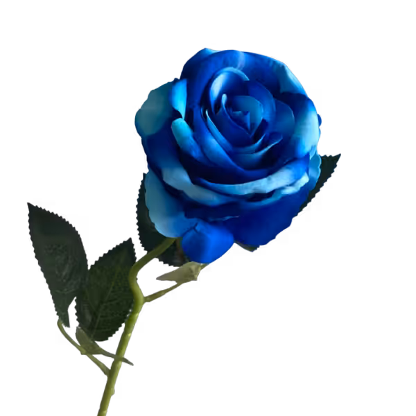 Blue Bella Velvet Rose