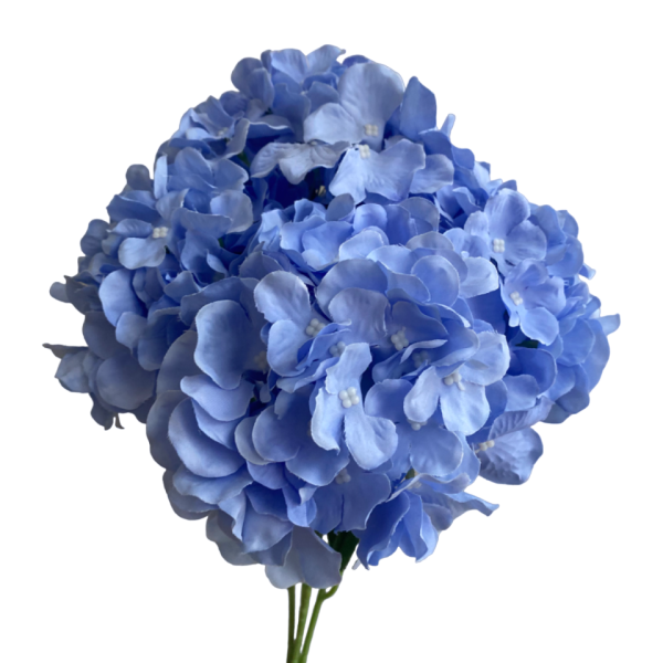 Blue Bianca 5-Head Hydrangea Bunch