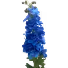 Blue Demi Real Touch Delphinium