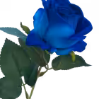 Blue Sara Mini Velvet Rose
