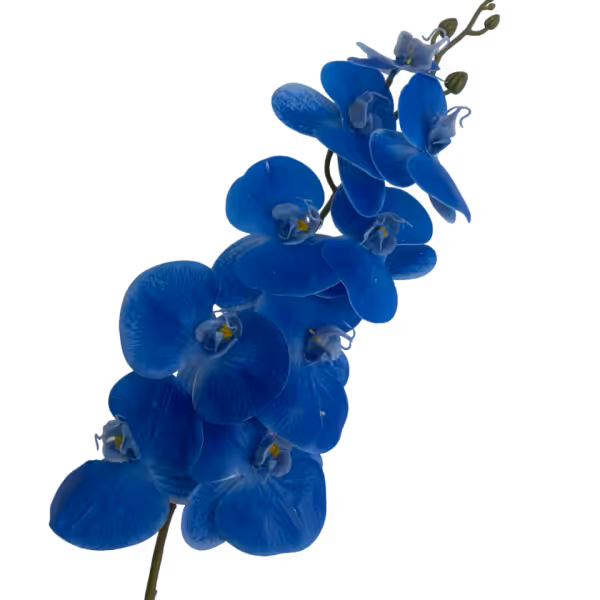 Blue Victoria 9-Head Real Touch Orchid