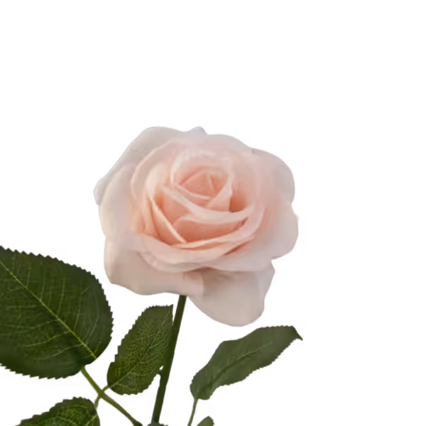 Champagne Ella Real Touch Rose