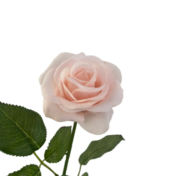 Champagne Ella Real Touch Rose