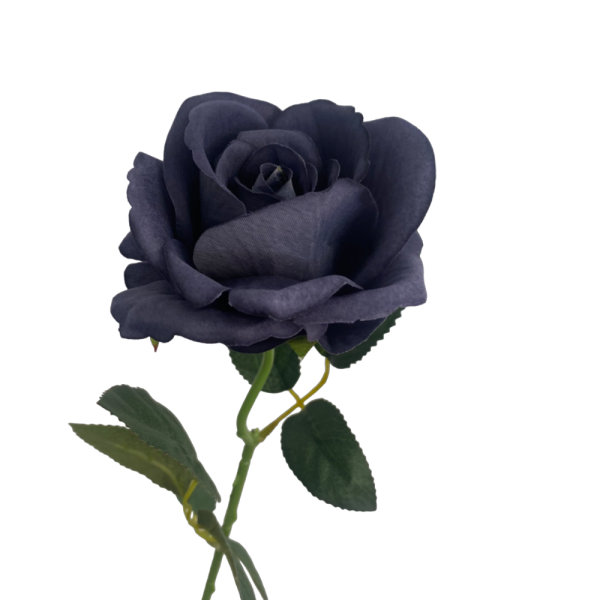 Dark Grey Bella Velvet Rose