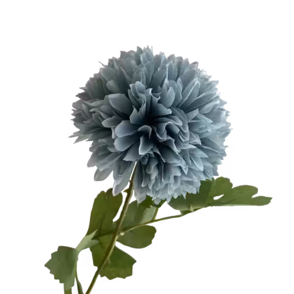 Dusty Blue Isla Chrysanthemum