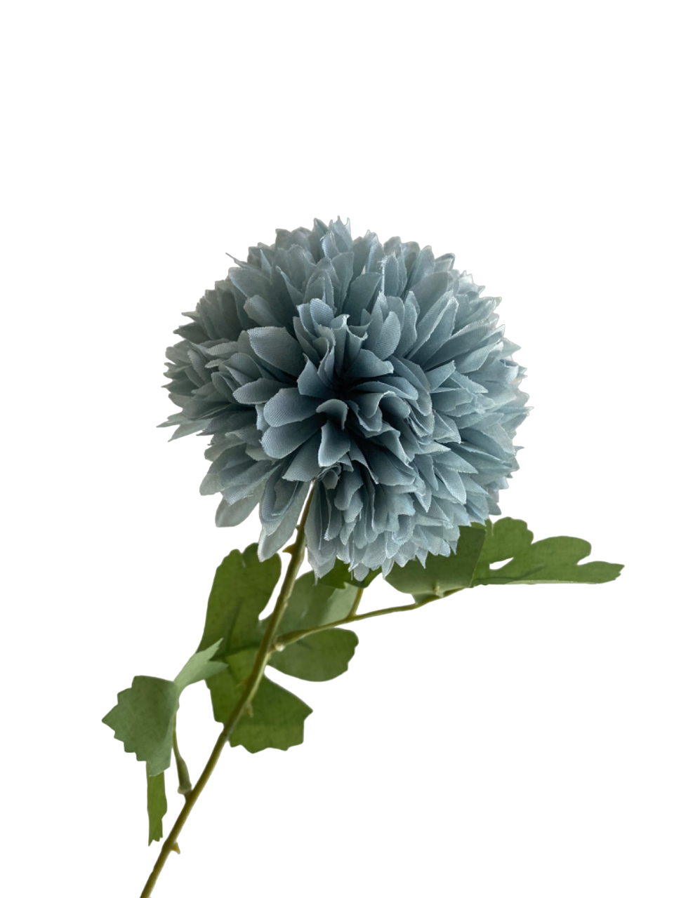 Dusty Blue Isla Chrysanthemum