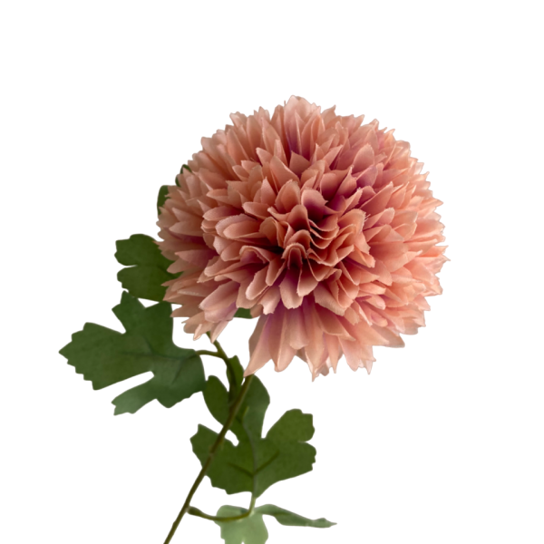Dusty Pink Isla Chrysanthemum