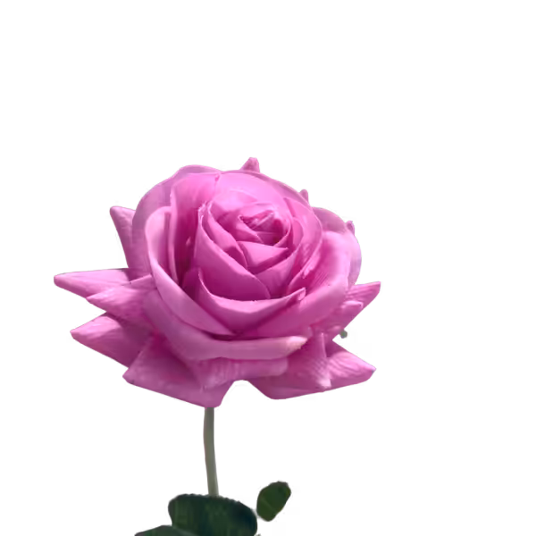 Fuchsia Alice Real Touch Rose