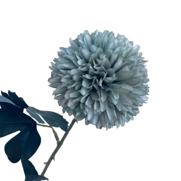 Green Isla Chrysanthemum