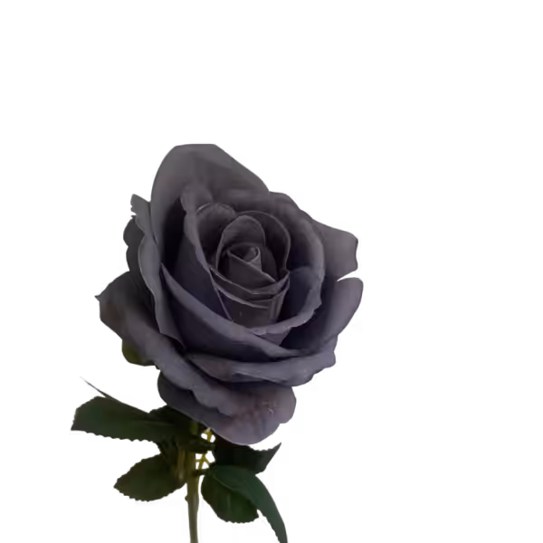 Light Grey Bella Velvet Rose