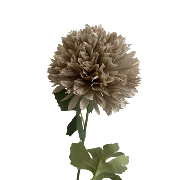 Grey Isla Chrysanthemum