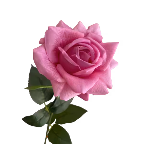 Hot Pink Eva Real Touch Rose