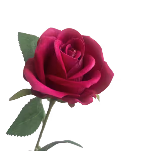Hot Pink Sara Mini Velvet Rose