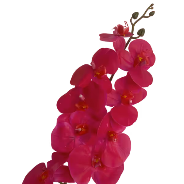 Hot Pink Victoria 9-Head Real Touch Orchid