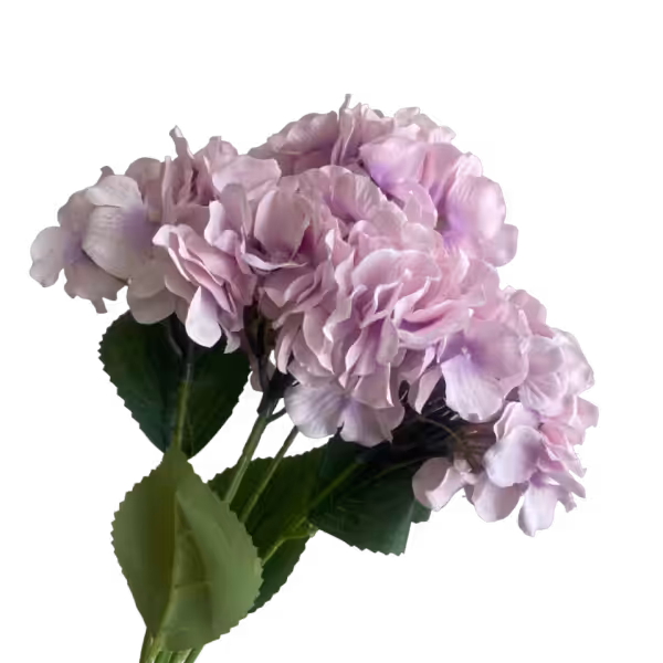 Lilac Bianca 5-Head Hydrangea Bunch