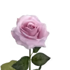 Lilac Ella Real Touch Rose