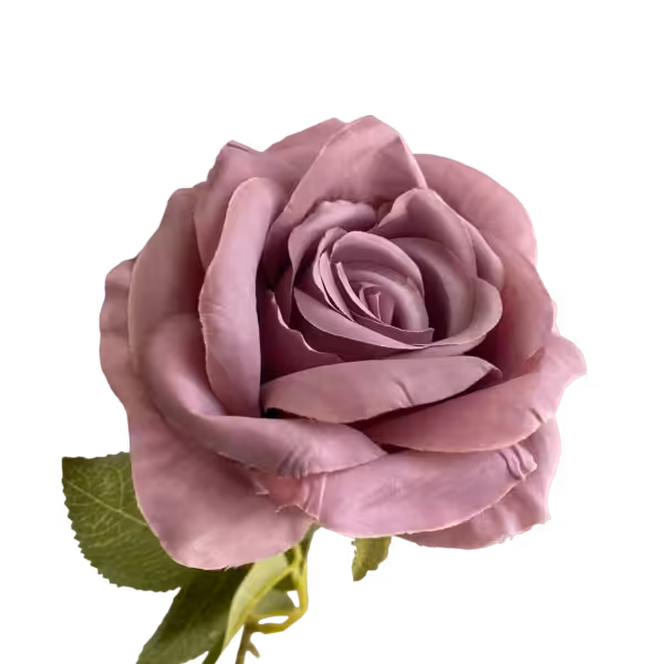 Lilac Nova Silk Rose