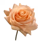 Orange Alice Real Touch Rose
