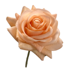 Orange Alice Real Touch Rose