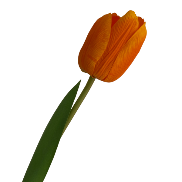 Orange Penny Real Touch Tulip