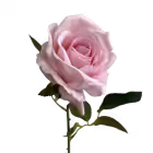Pastel Pink Bella Velvet Rose