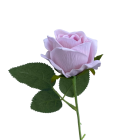 Pastel Pink Sara Mini Velvet Rose