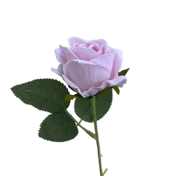Pastel Pink Sara Mini Velvet Rose