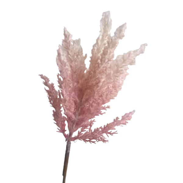Pink Fluffy Mini Pampas