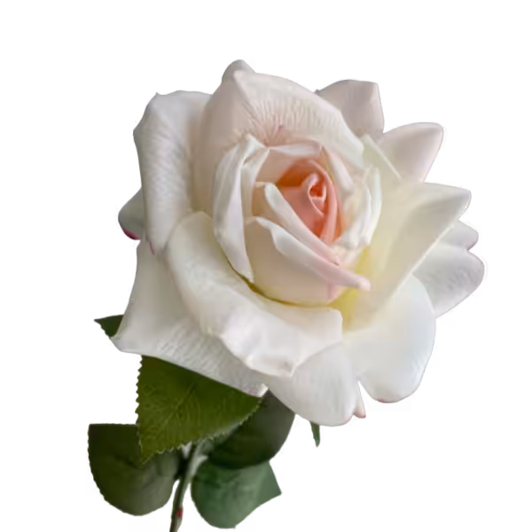 Pink Fringe Eva Real Touch Rose