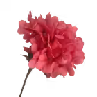 Hot Pink Sienna Hydrangea Stem