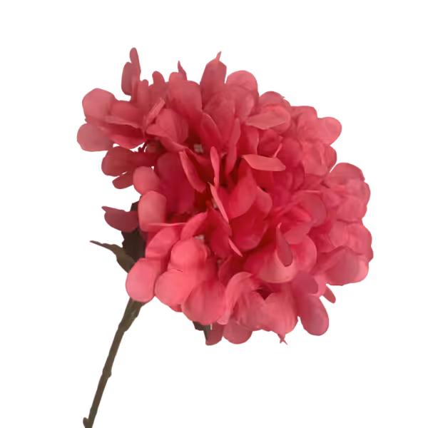 Hot Pink Sienna Hydrangea Stem