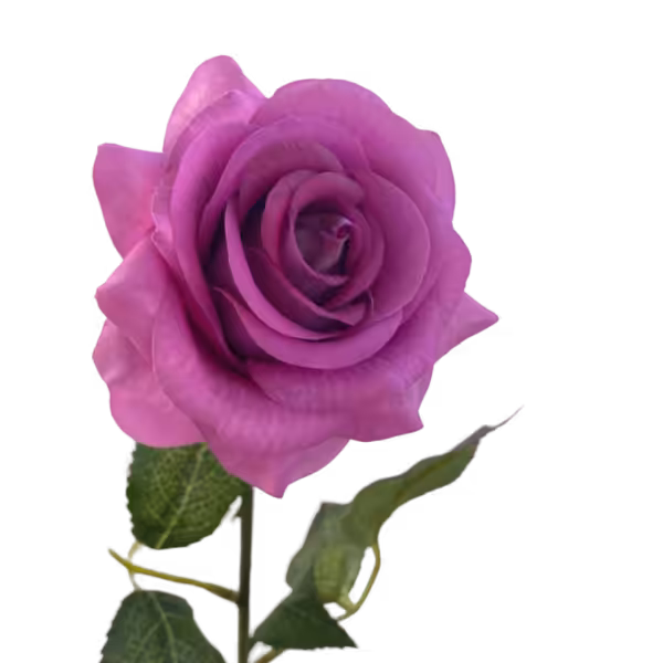 Purple Ella Real Touch Rose