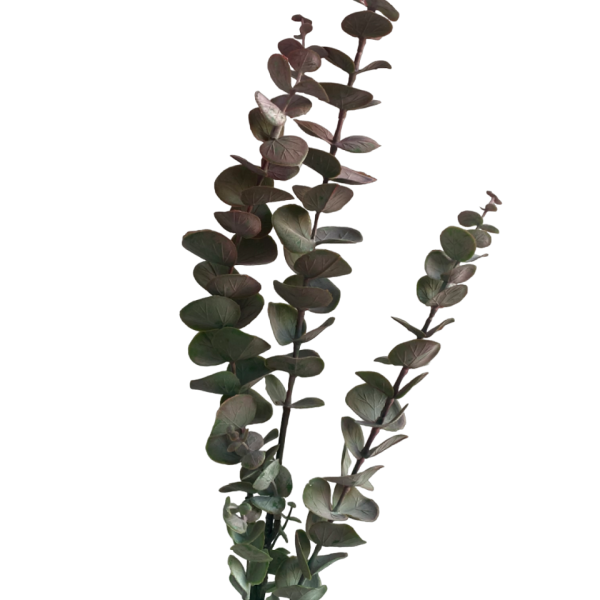 real-touch-flowers-plants-australia
