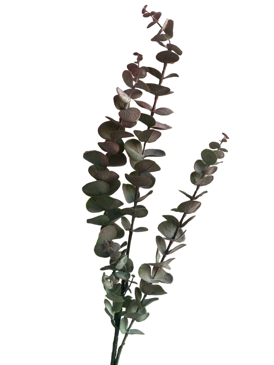 Purple Real Touch Eucalyptus Silk Studio