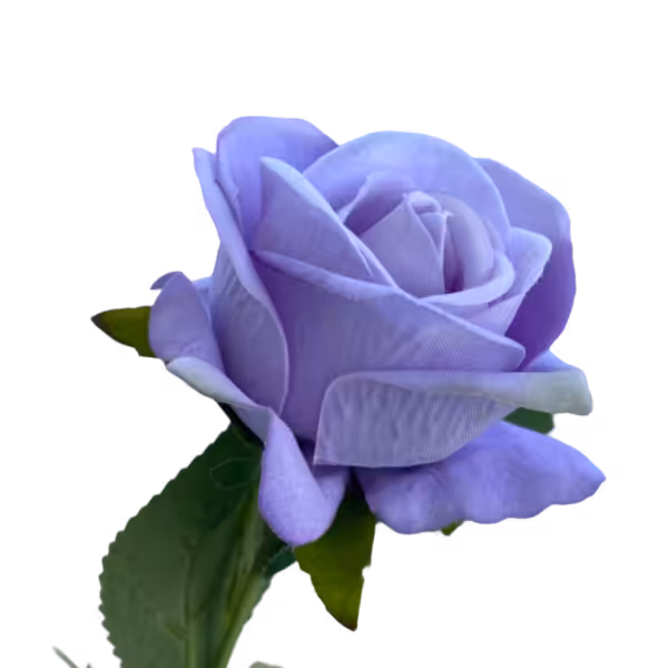 Purple Sara Mini Velvet Rose
