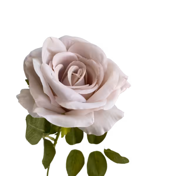 Quicksand Nova Silk Rose