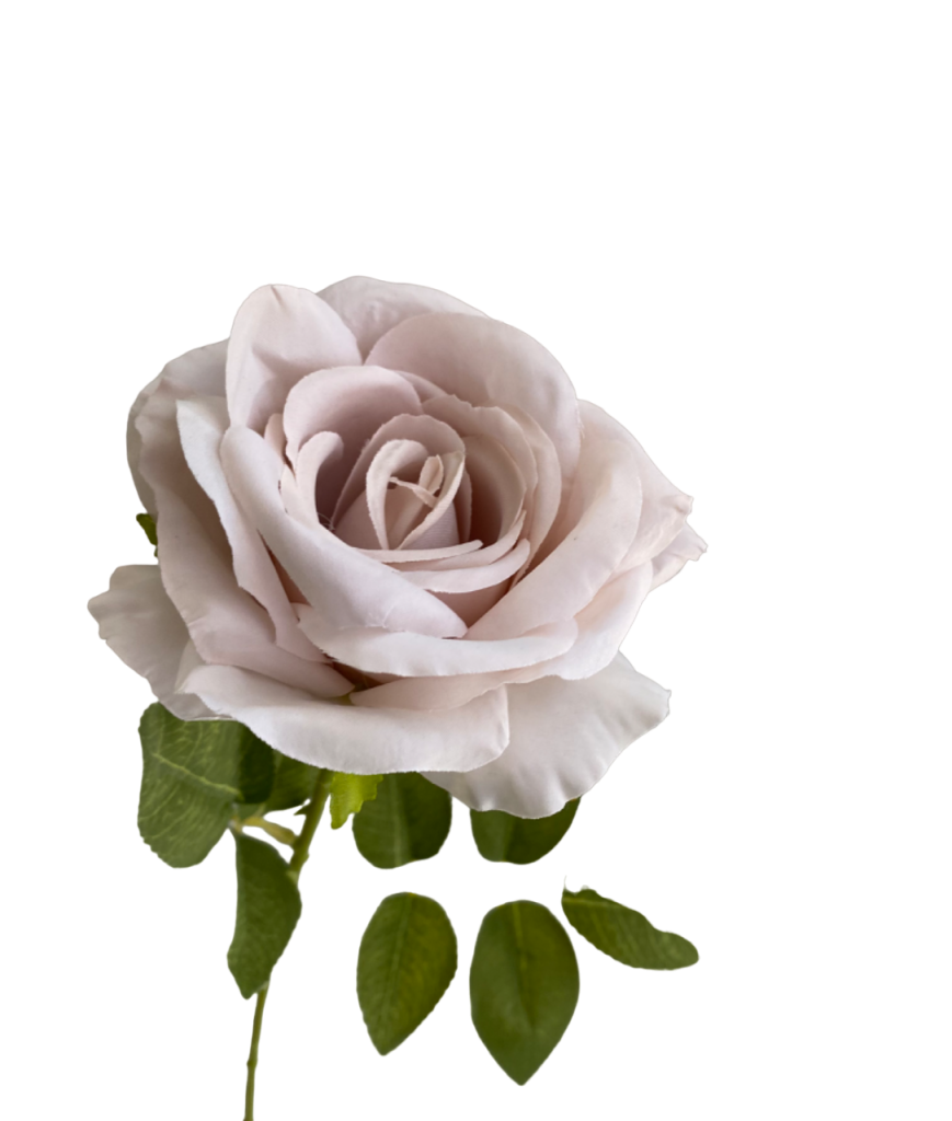 Quicksand Nova Silk Rose Silk Studio