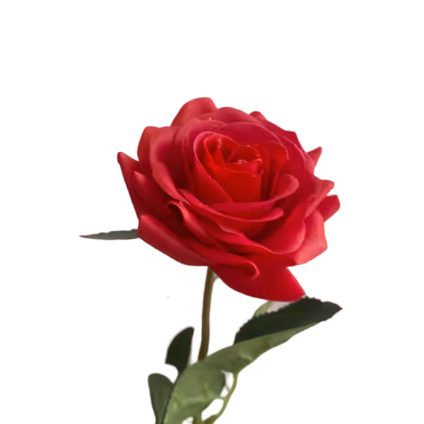 Red Alice Real Touch Rose