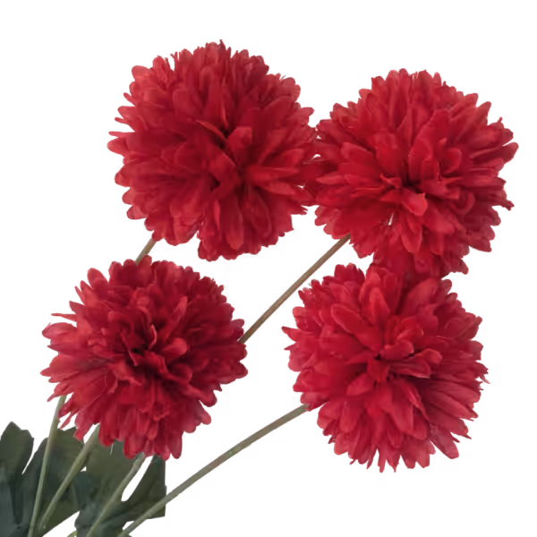Red Chloe 4-Head Chrysanthemum Spray
