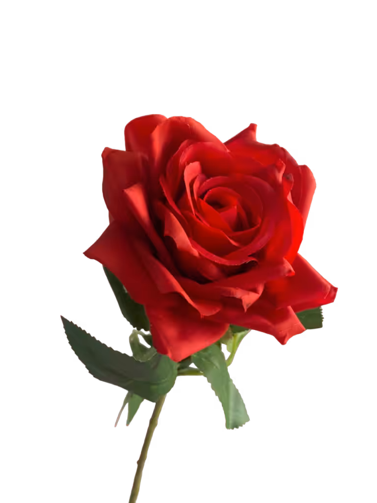 Red Gia Real Touch Rose