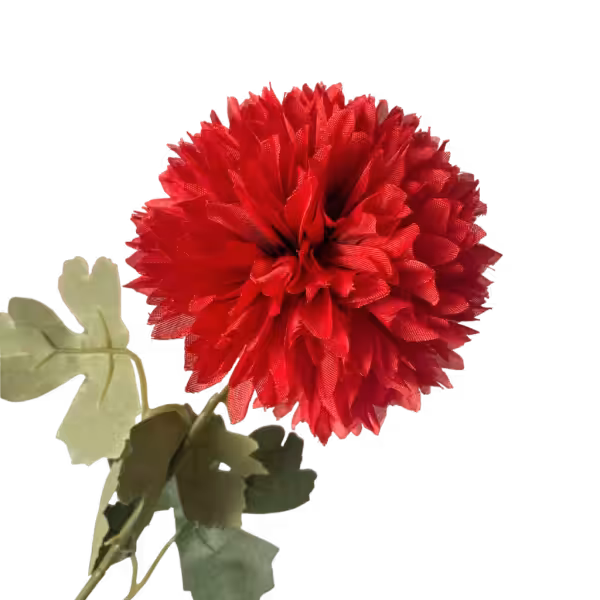 Red Isla Chrysanthemum