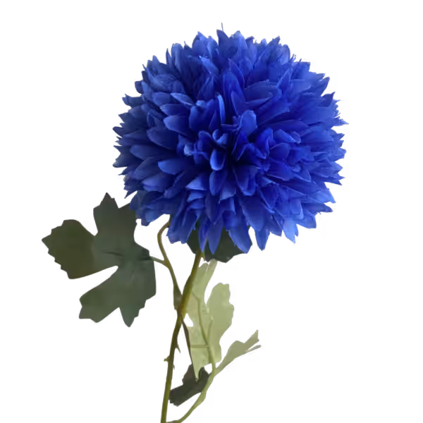 Royal Blue Isla Chrysanthemum