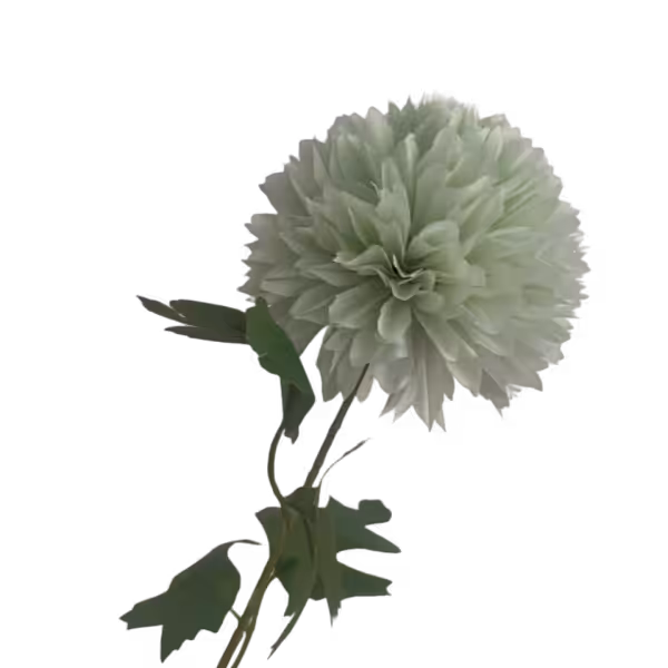 Light Green Isla Chrysanthemum