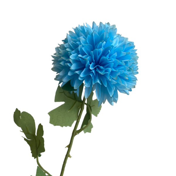 Sky Blue Isla Chrysanthemum