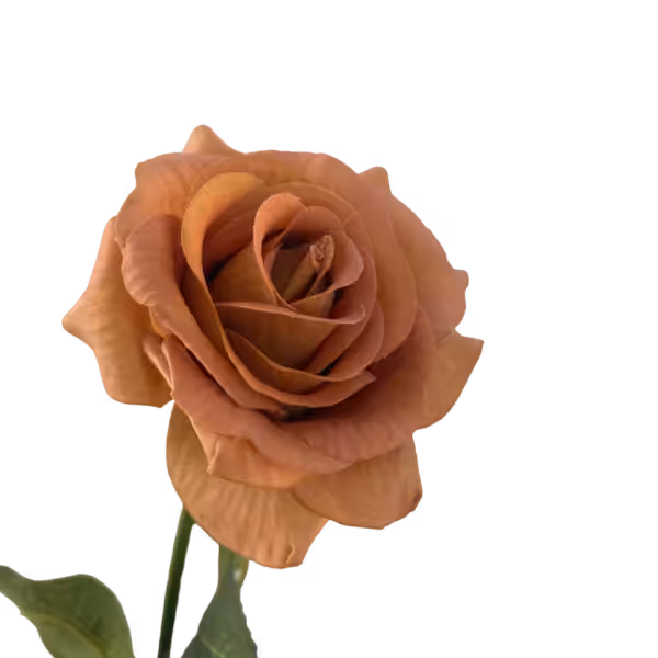 Toffee Ella Real Touch Rose