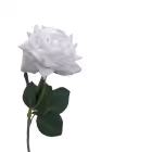 White Alice Real Touch Rose