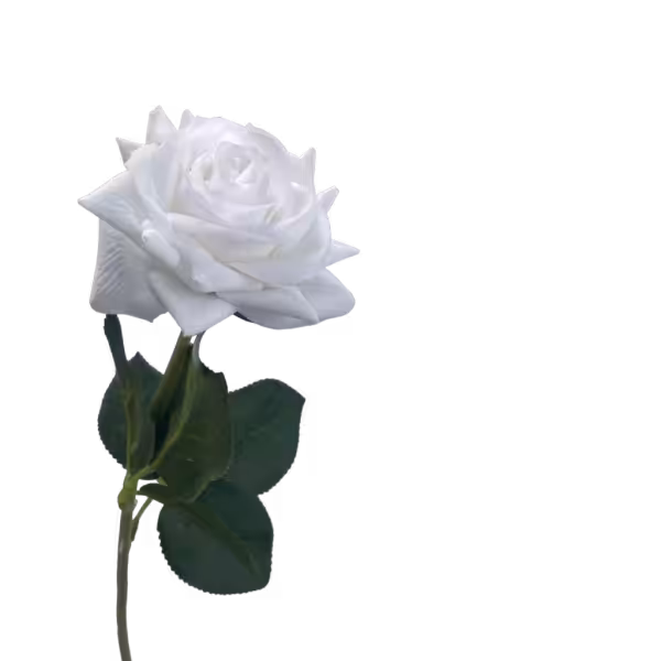 White Alice Real Touch Rose