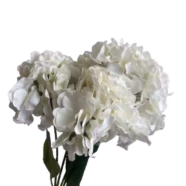 White Bianca 5-Head Hydrangea Bunch